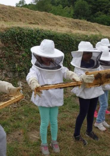 Les enfants apiculteurs