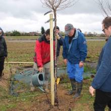 Plantation participative - Agroforesterie à Magny-les-Hameaux