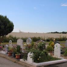 Visite du cimetière de l'Orme au Berger par le PNR
